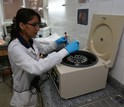 Infectious disease researcher working in a lab